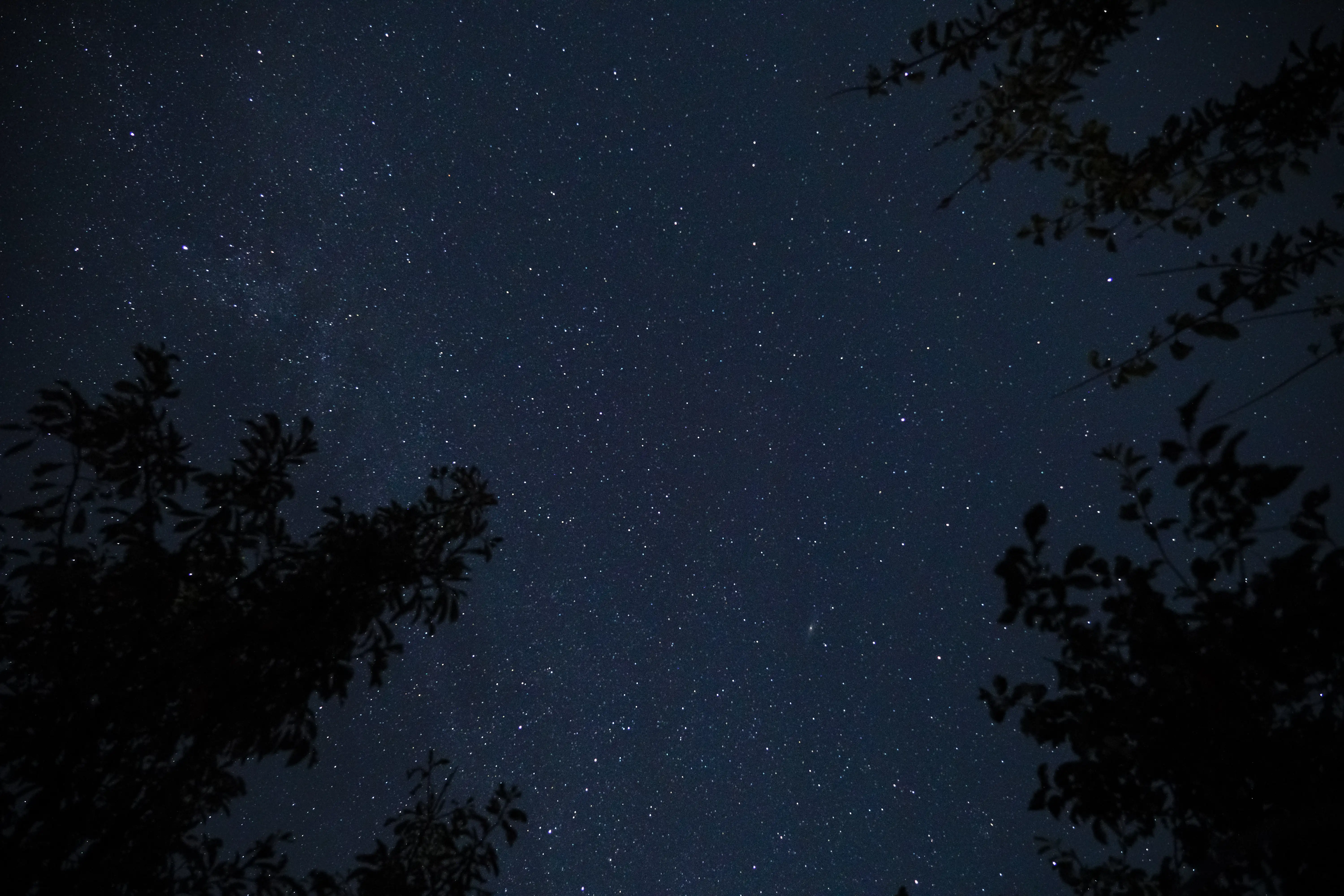 안면재 갤러리 이미지